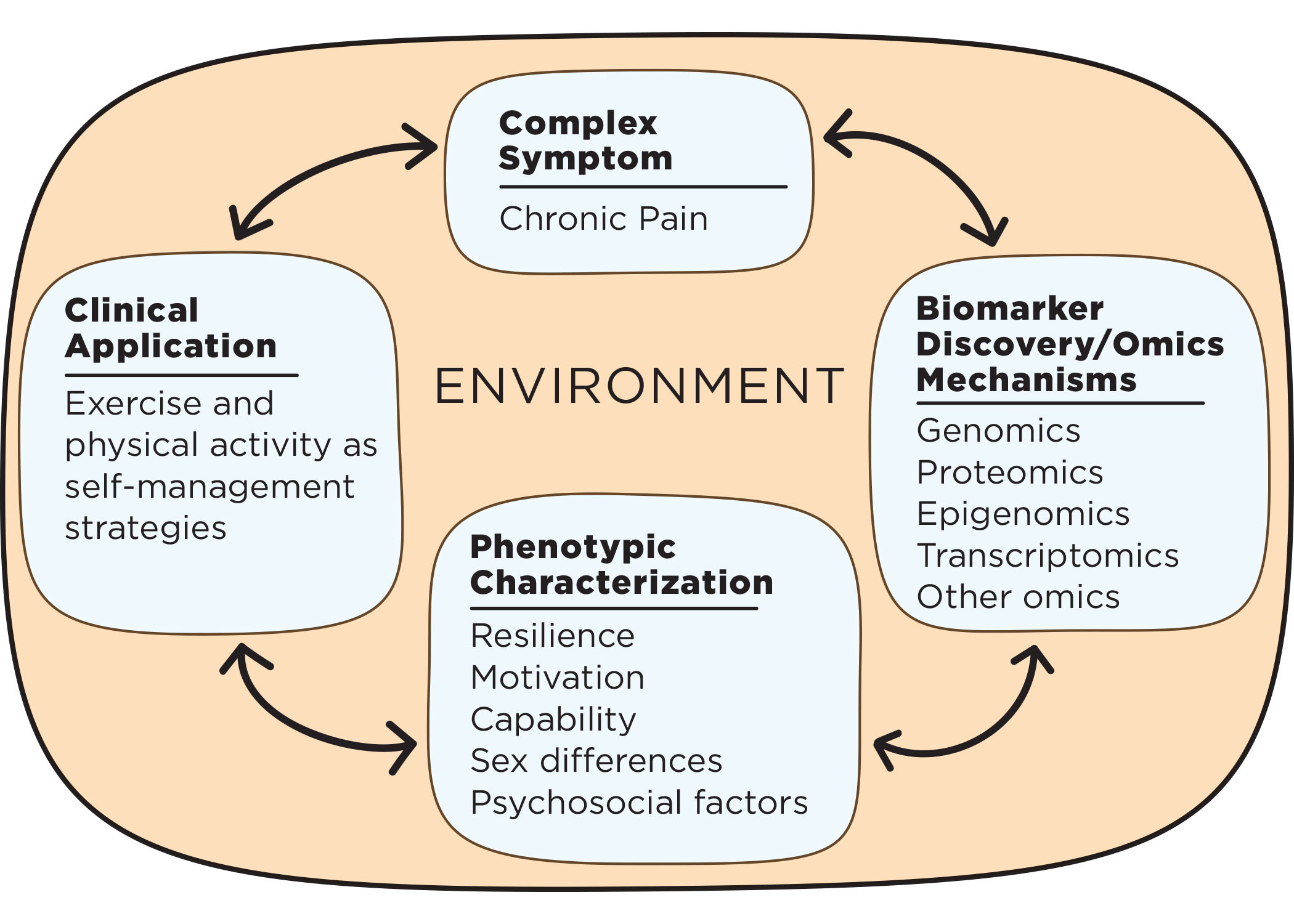 Chart with complex symptom (chronic pain), biomarker discovery/omics mechanisms (genomics, proteomics, epigenomics, transcriptomics, other omics), phenotypic characterization (resilience, motivation, capability, sex differences, psychosocial factors), and clinical application (exercise and physical activity as self-management strategies) in a loop